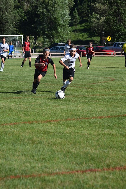 而韦勒图则 而韦勒图则
