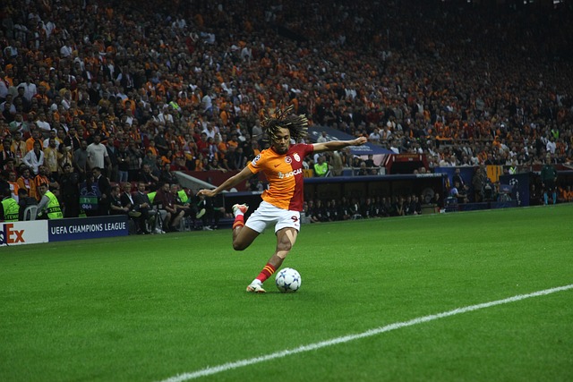 发挥到了极 发挥到了极