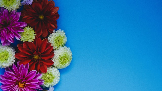 爾在現階段 爾在現階段