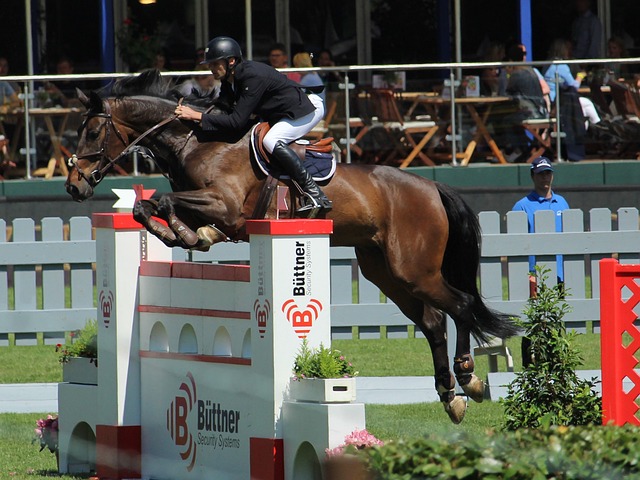 年轻球员的 年轻球员的