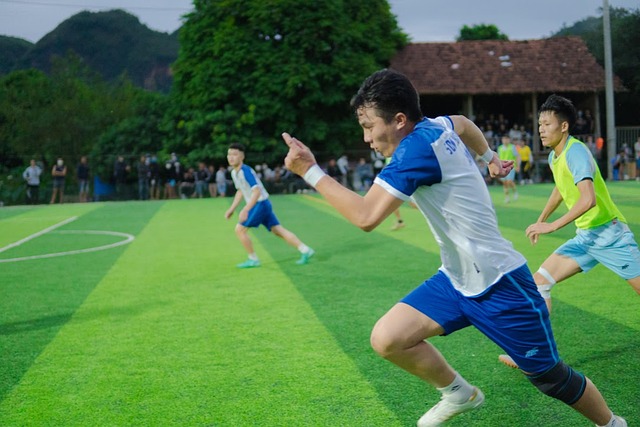 合素质 合素质